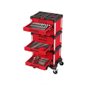 366pc Professional Mechanics Tool Storage System with Rolling Cart